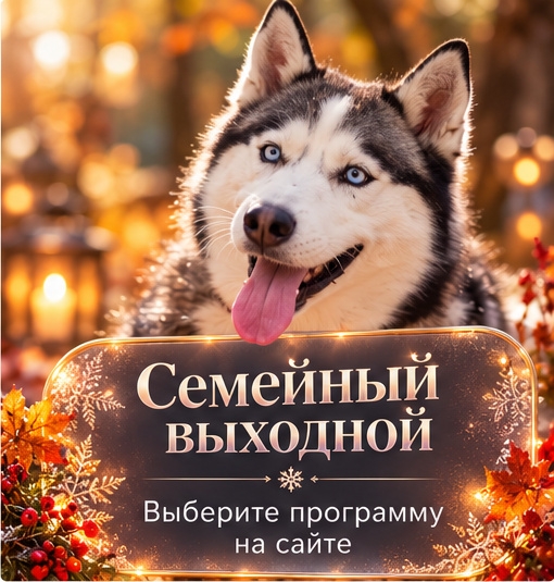 Семейный выходной в хаски-центре «Аквилон»