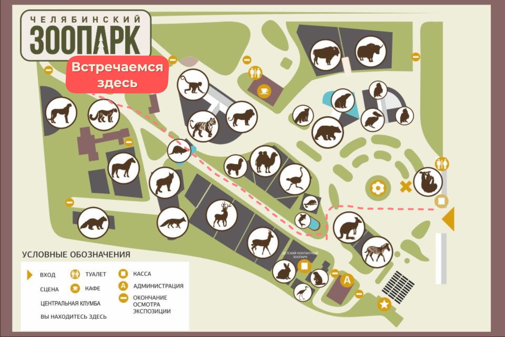 ЗооКоллекция: снежные барсы