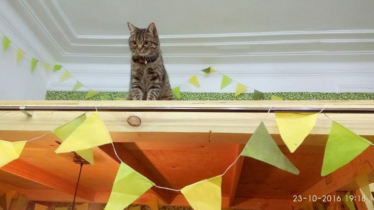 11 лет чайной «Пей чай»