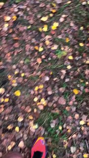 Пробежка по лесу и баня