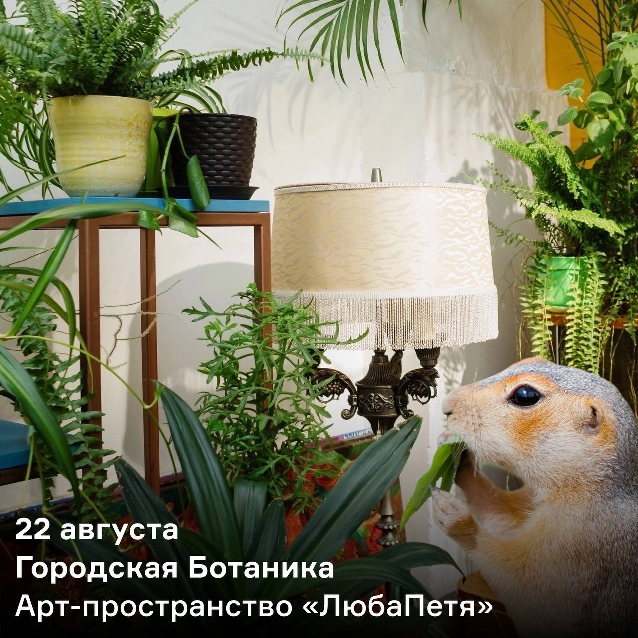 «Музыкальные пятницы» в Музее Южного Урала