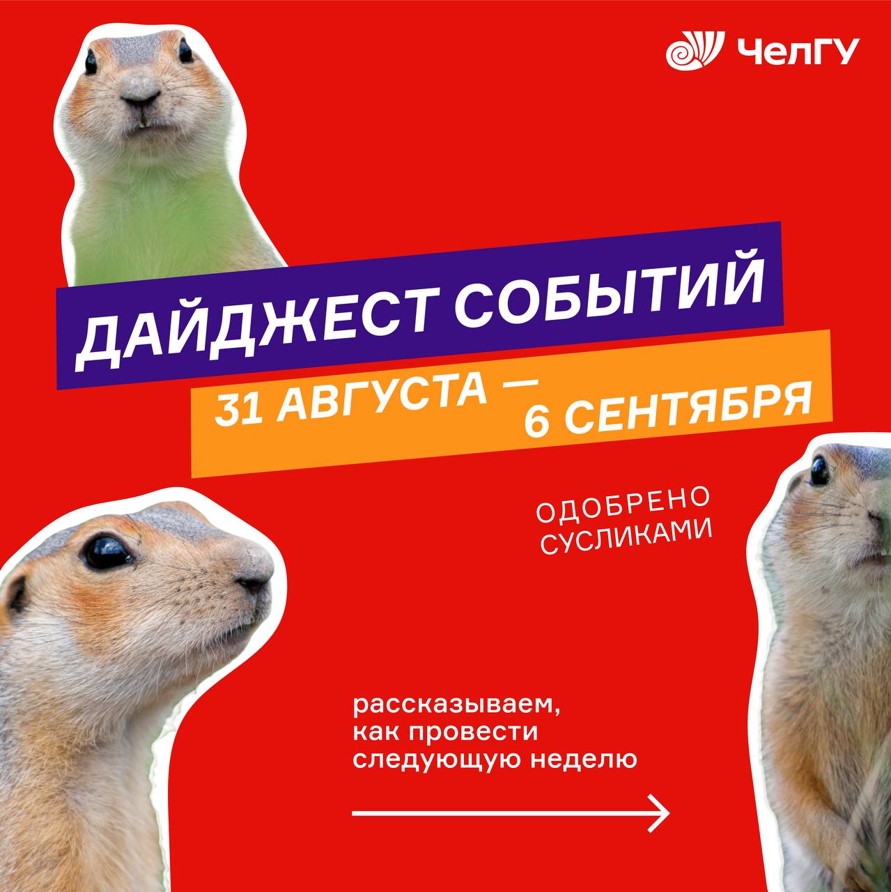 Городская игра «Бегущий город»