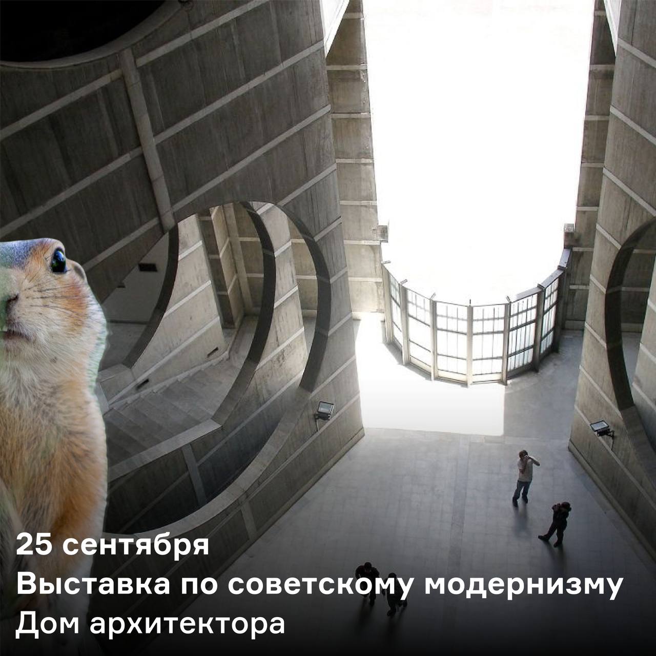 Экскурсия по выставке «Климт, вдохновлённый Ван Гогом, Моне, Матиссом»