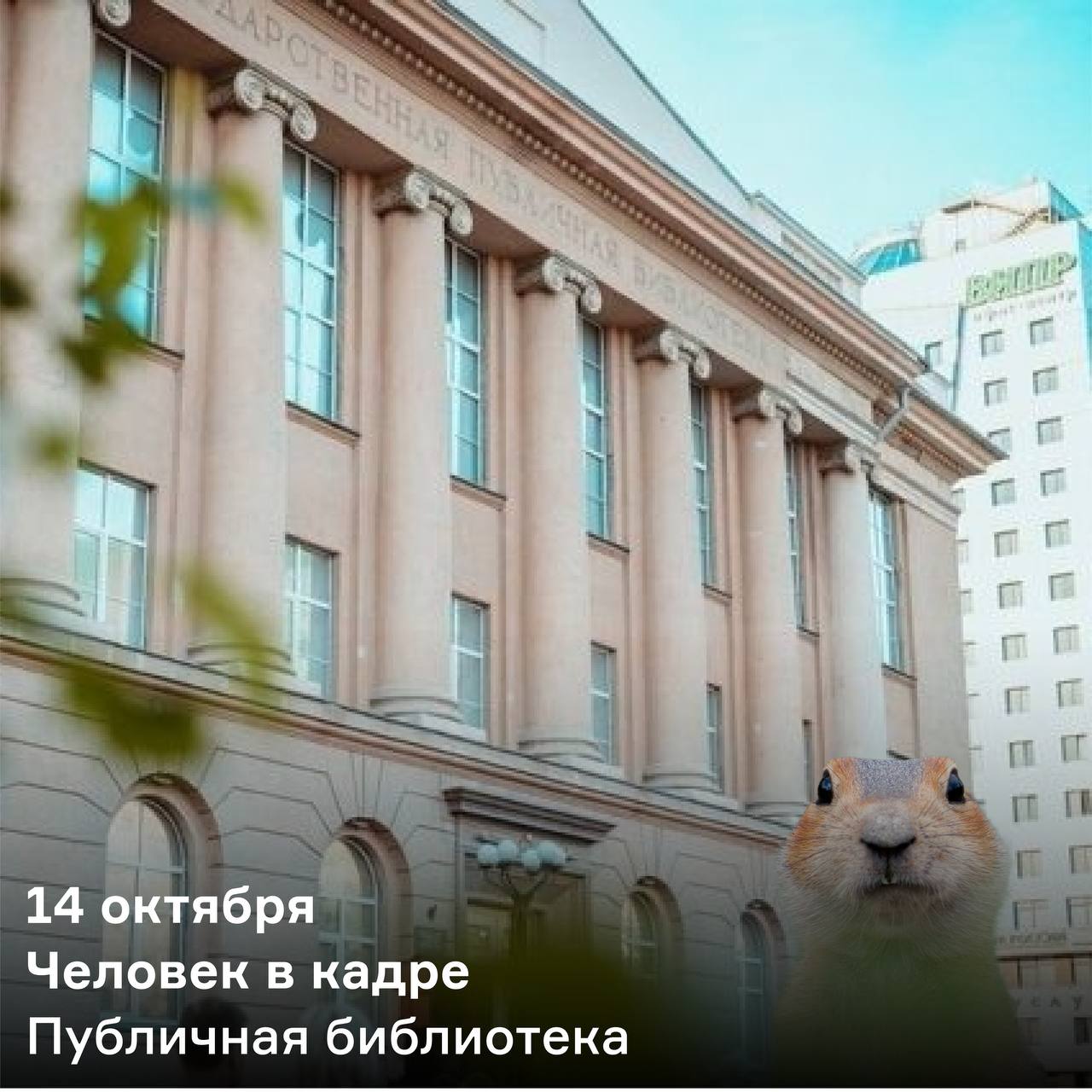 Стендап битва