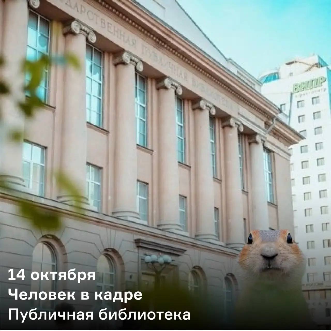 Стендап битва