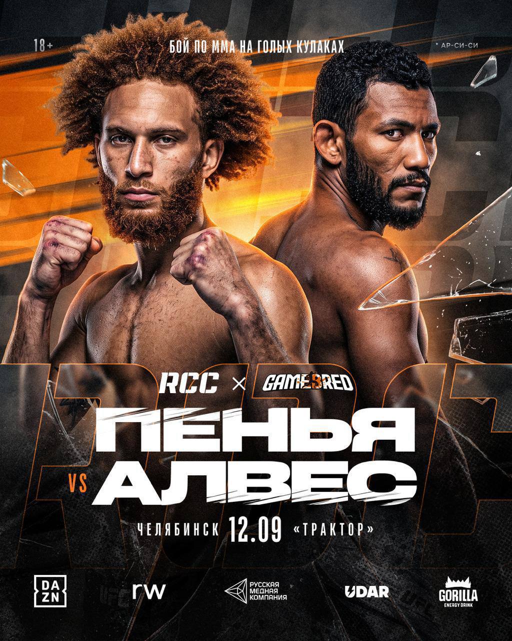 Турнир по кулачным боям