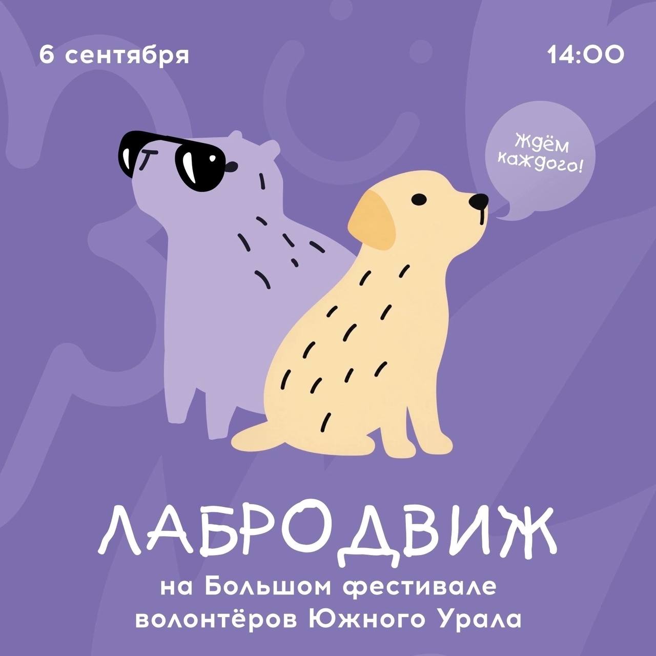 Благотворительный забег с лабрадорами «Лабродвиж»