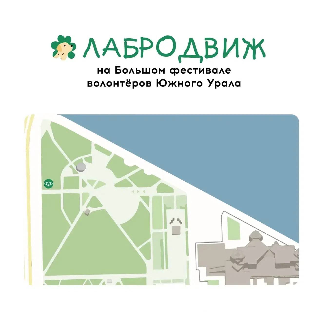 Благотворительный забег с лабрадорами «Лабродвиж»