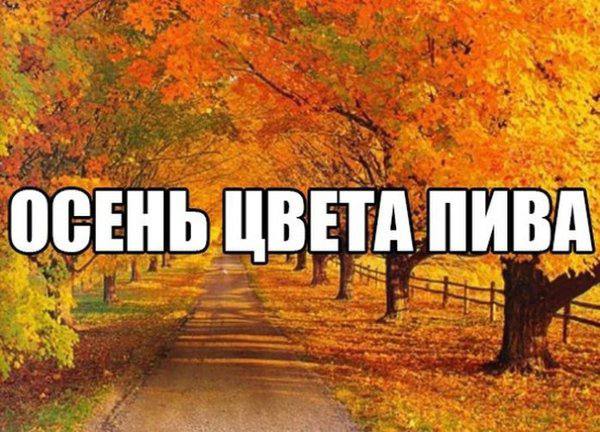 Осенние: солнышко, фримп3, васико