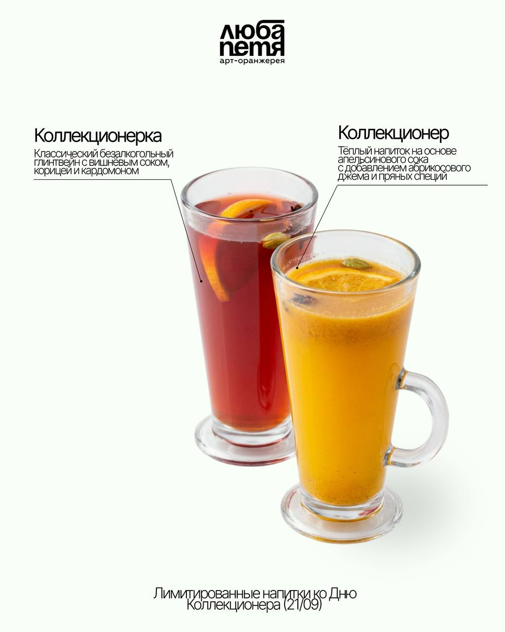 День коллекционера
