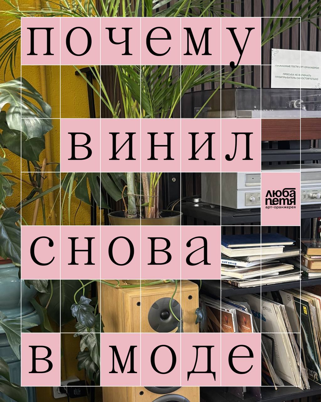 Клуб любителей винила