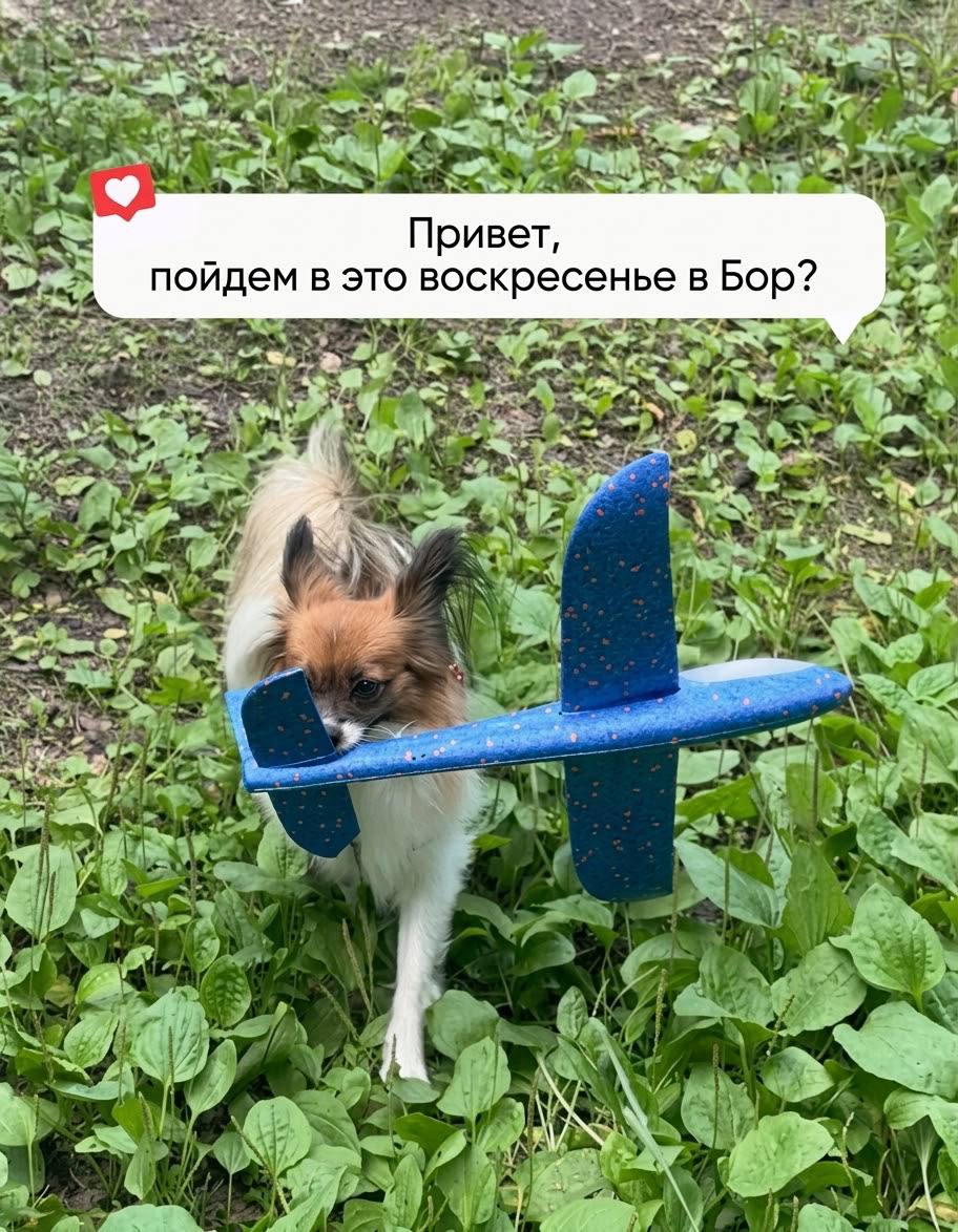 «Человеку нужен Человек» — городской спектакль